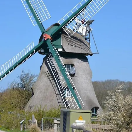 Daire Alsen Nieby (Nieby, Schleswig-Flensburg)